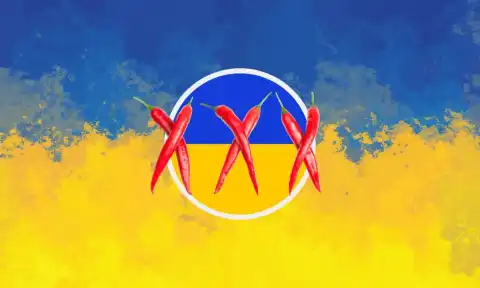 Ukraine Parliament Rejects Bill to Decriminalize Adult Content Creation
