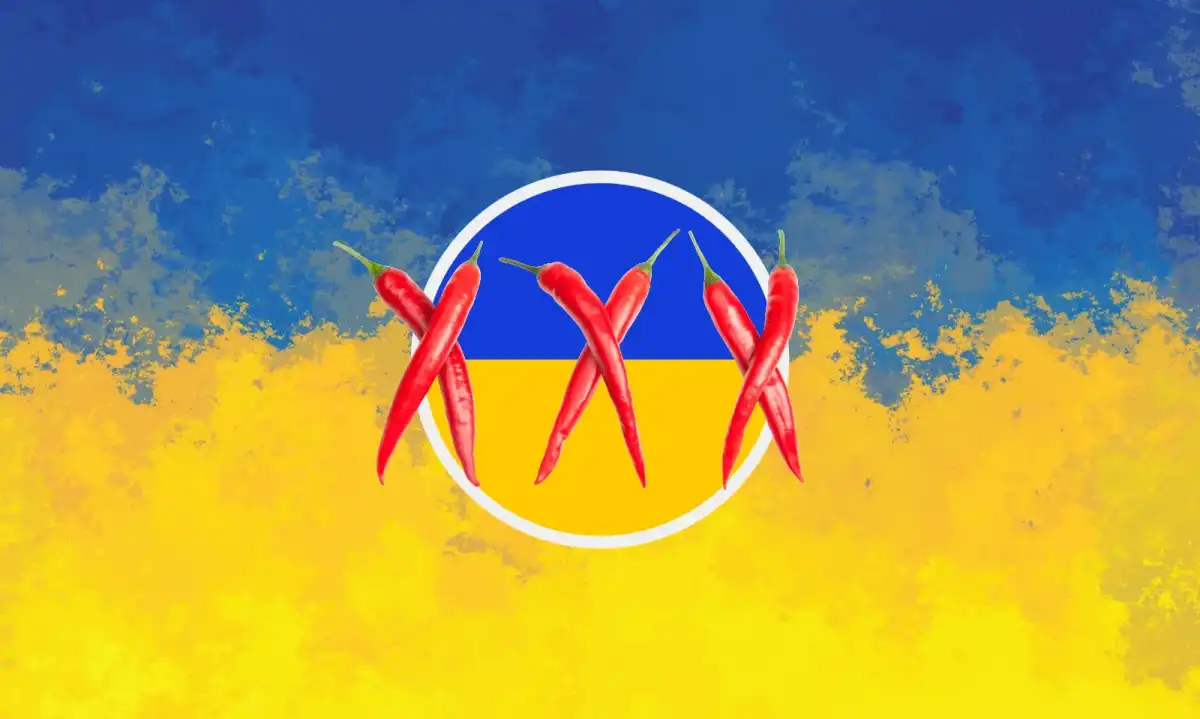Ukraine Parliament Rejects Bill to Decriminalize Adult Content Creation