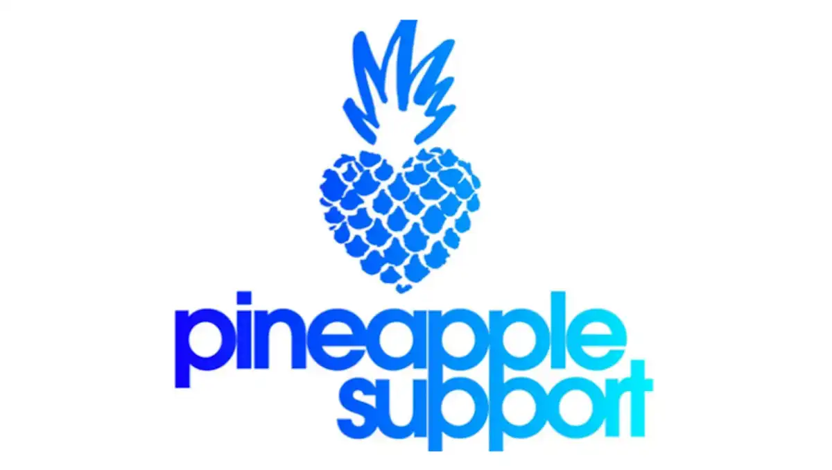 Pineapple Support Appoints Jean-Micheal Veen as Technology Chair for Growth