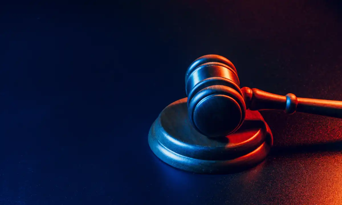 Visa to Face Lawsuit Alleging Profit from Child Sexual Abuse Material